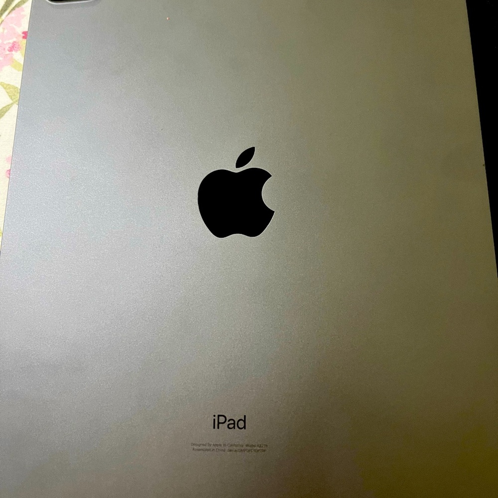 11in IPad Pro. Good condition. With Apple keyboard. Perfect for entertainment.